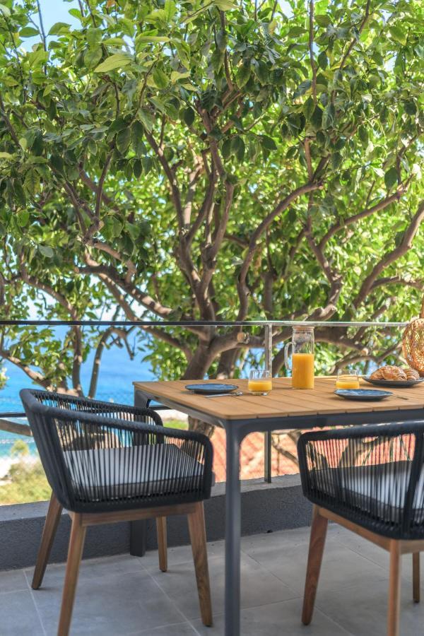 Proche Monaco, Vue Mer, Acces Plage Et Jardin Privatif Saint-Antoine  Exteriér fotografie